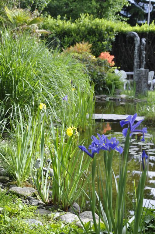 Villa Del Gusto Bellinzona Zewnętrze zdjęcie